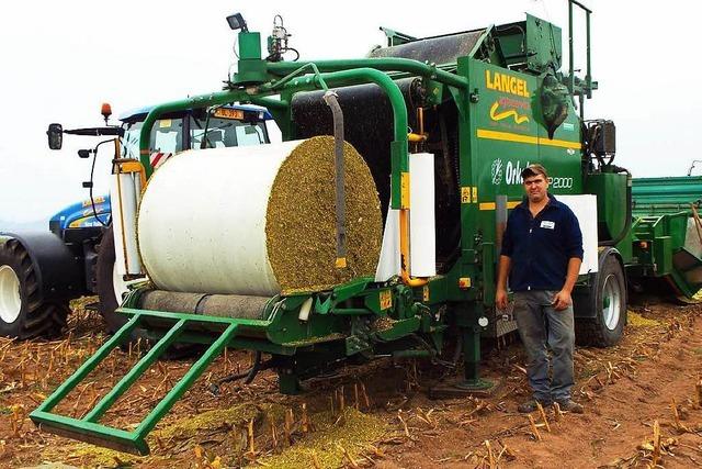 Landwirte beklagen Trockenheit