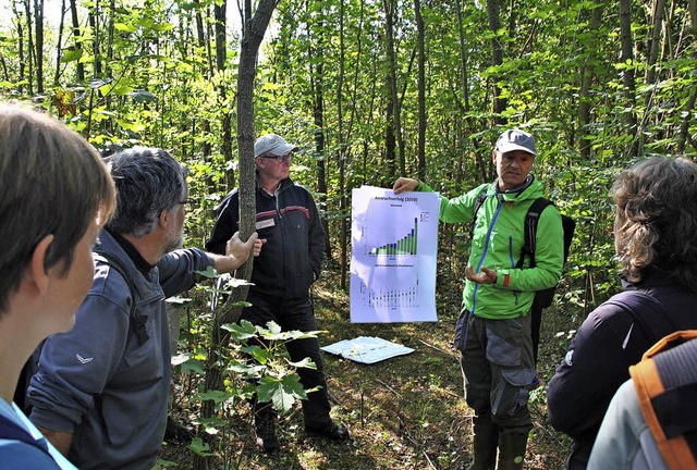 Martin Kohler (rechts) und Markus Mll...chiedenen Baumarten entwickelt haben.   | Foto: manfred ferietsch