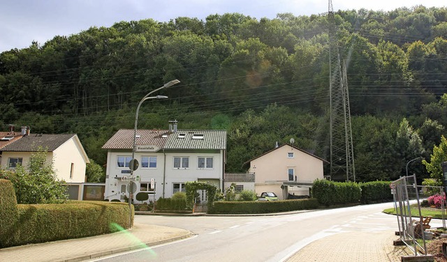 Der Wald am Niederhaldenweg  in Hllst...amit mehr Licht ins Wohngebiet kommt.   | Foto: archivfoto: anja  Bertsch