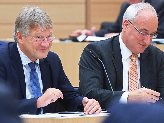 AfD-Vorsitzender Jrg Meuthen (links) und AfD-Fraktionsvorsitzender Heinz Merz  | Foto: dpa
