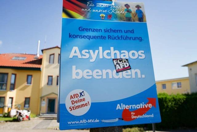 AfD will bei Brgermeisterwahlen antreten