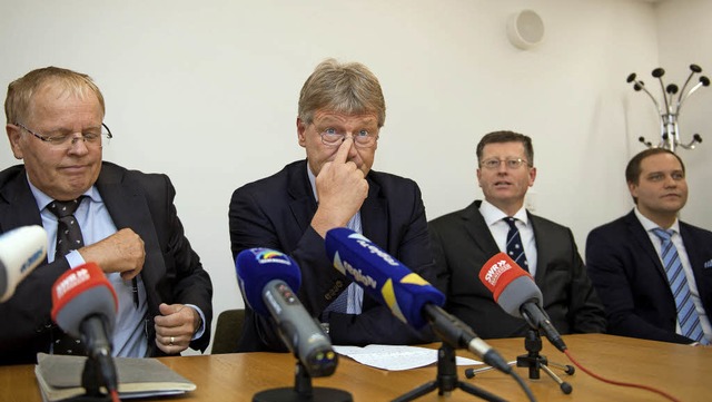 Jrg Meuthen (zweiter von links) ist C...rvereinigten AfD-Fraktion im Landtag.   | Foto: DPA