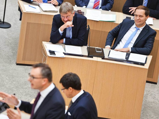 Jrg Meuthen (hinten links) und Anton ...eneinander im Plenarsaal des Landtags.  | Foto: dpa