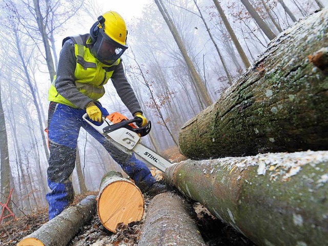 Staats-, Kommunal- oder Privatwald?   | Foto: dpa