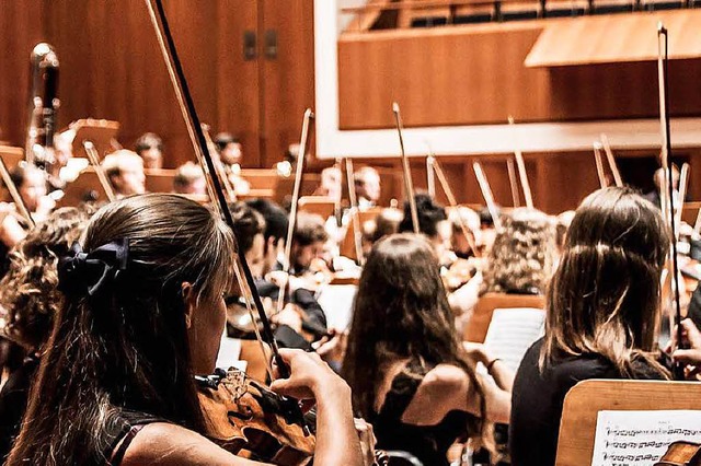Das Akademische Orchester sucht Mitspielerinnen und Mitspieler  | Foto: Promo