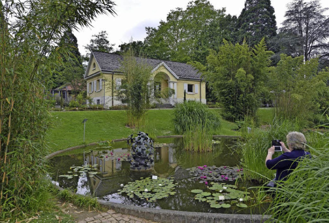 Botanischer Garten Bamberg / Magnolien Im Botanischen ...