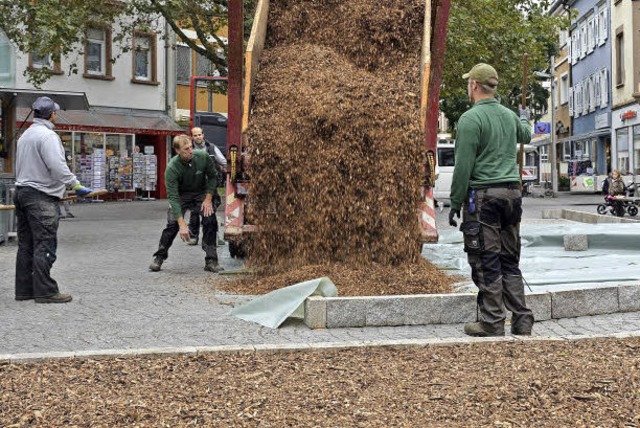 Mitarbeiter des BGL freuen sich ber eine neue Ladung Hcksel.   | Foto: Christian Engel