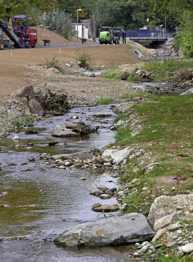 Der Dorfbach mandert nun durch Haslac...eu ist auch die Brcke (Hintergrund).   | Foto: Thomas Kunz