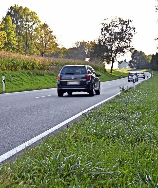 Wildwechsel Schliengener Berg: Hier ko...fllen zwischen Autofahrern und Wild.   | Foto: Michael Behrendt