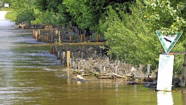 Die Bresche im Leopoldskanal wird erh...sch zum Hochwasserschutz Rheinhausen.   | Foto: Archivfoto: Siegfried Gollrad