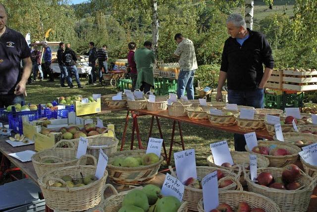 Streuobst in seiner ganzen Vielfalt