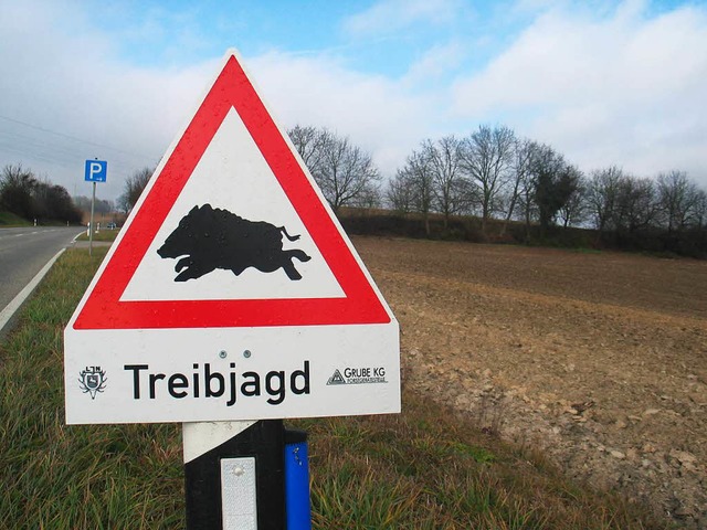 In Obereggenen wurden Wildschweine bej... ein deutliches Warnschild wie dieses.  | Foto: Jutta Schtz