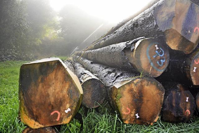 Organisationsstrukturen beim Holzverkauf auf dem Prfstand