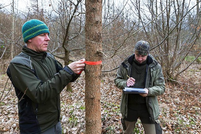 Beim Markieren der Bestattungsbume: F...nas Schlenker vom Planungsbro Unique.  | Foto: Hubert Braxmaier/B?ro Unique