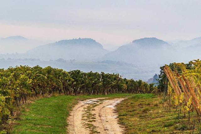 Fotos: BZ-Wanderung auf dem Wiiwegli