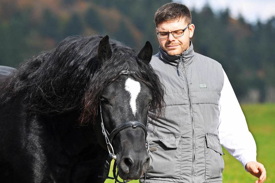 Gekört - Simon Blattert aus Bonndorf - Dillendorf mit dem Schwarzwälder Rapphengst Ramos. (Foto: Wolfgang Scheu) Gekört - Simon Blattert aus Bonndorf - Dillendorf mit dem Schwarzwälder Rapphengst Ramos. (Foto: Wolfgang Scheu)