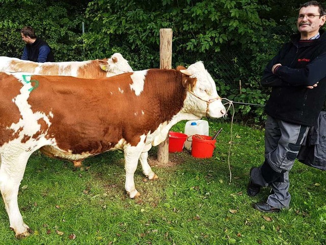 Zufrieden: Zchter Manfred Schelshorn ...en Hinterwlder-Bullen Konax und Konap  | Foto: Petra Kistler 