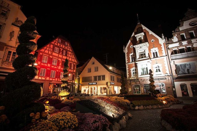 Die Chrysanthemen auf dem Sonnenplatz sind in stimmungsvolles Licht getaucht.  | Foto: Stadt Lahr