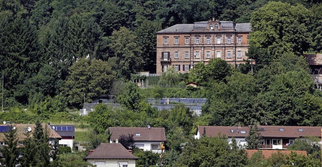 Das alte Waisenhaus ohne neue Wohnbeba... aus Sicht der BI soll das so bleiben.  | Foto: Archivfoto: Chr. Breithaupt