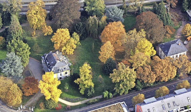 Herbst im Aichele-Park: Links im Bild ...ist die untere Villa, die belegt ist.   | Foto: Luftbild: Erich Meyer