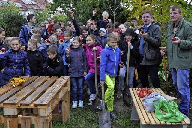 Schulgarten ist jetzt in der Ortsmitte