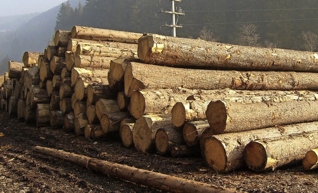 3500 Festmeter Holz sollen 2017 im Bernauer Gemeindewald geerntet werden.   | Foto: Ulrike Spiegelhalter