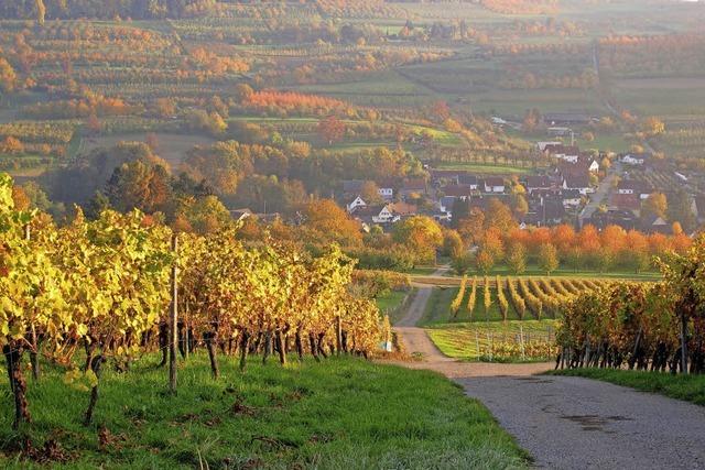 Mit ILEK neue Wege gehen