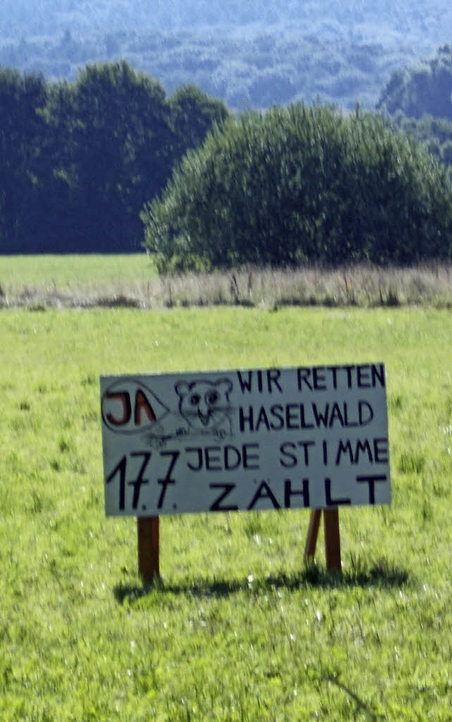 Haselwald-Spitzmatten war auch Thema beim CDU-Stadtverband.  | Foto: Gerhard Walser