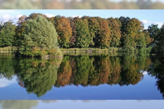 Herbststimmung am Allmendsee in Rust