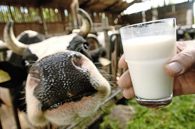 86000 Liter Milch haben die 100 Khe a...unter anderem 1000 Kilo Kse gemacht.   | Foto: Dpa/Kurt Meier