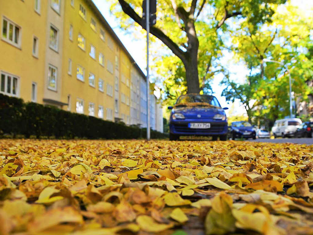 Ein buntes Farbenspiel: Im Freiburger Stadtteil Haslach ist der Herbst besonders schn.