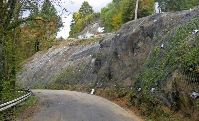 Gesicherte Felsen: Entlang der L140 zw...hrer vor herabfallenden Steinbrocken.   | Foto: Landratsamt Lrrach
