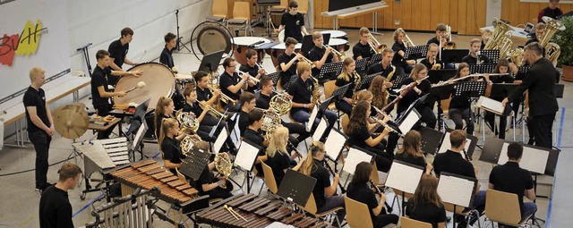 Das Jugendorchester Rickenbach berzeu... &#8222;hervorragend&#8220; verliehen.  | Foto: Musikverein Rickenbach