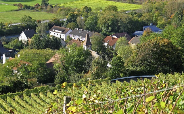 Camper wrden gerne ihr Wohnmobil am G...t von den Weinbergen aus ber den Ort.  | Foto: Jutta Schtz