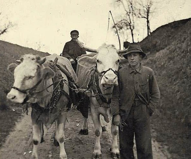 Hanspeter Eichin und der  ihm zugewiesene polnische Zwangsarbeiter  um 1943.   | Foto: SCHEER