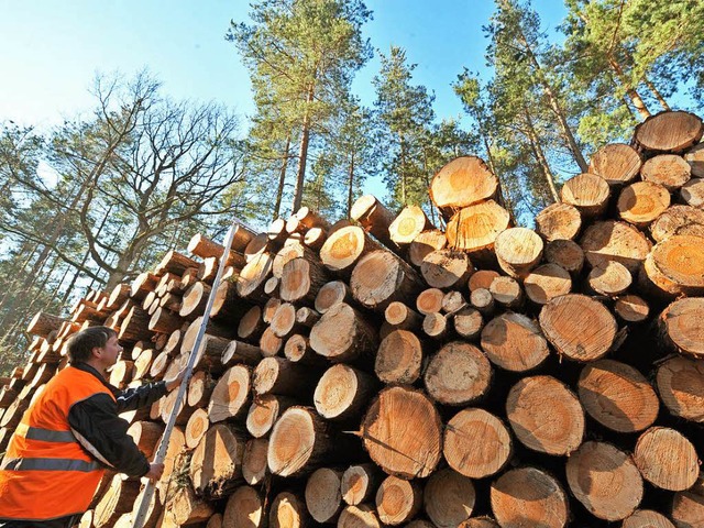 Wer darf das Holz vermarkten? Private Firmen warten schon   | Foto: dpa