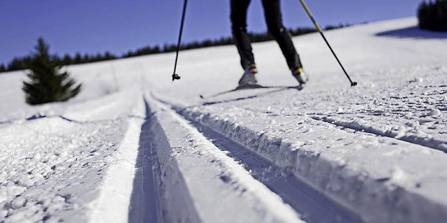 Die IG Hohtann-Belchen will im kommenden Winter einen  Langlaufkurs anbieten.  | Foto: zvg/paul berger