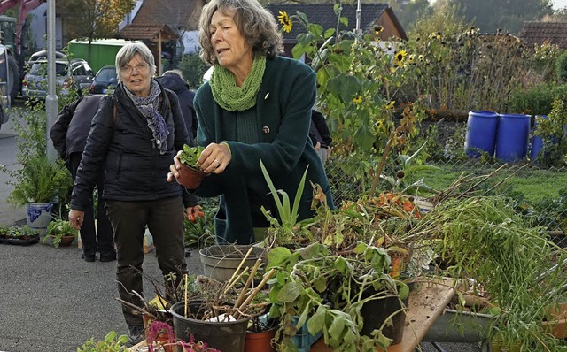 Organisatorin Gertrud Koch erklrte ge...hen am letzten Markttag auf sich hat.   | Foto: Hans-Jrgen Hege