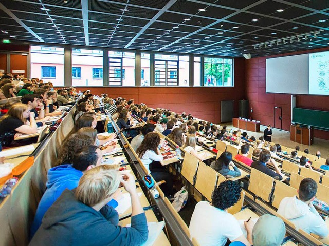 Ein Professor aus Karlsruher klagt gegen das Landeshochschulgesetz.  | Foto: dpa