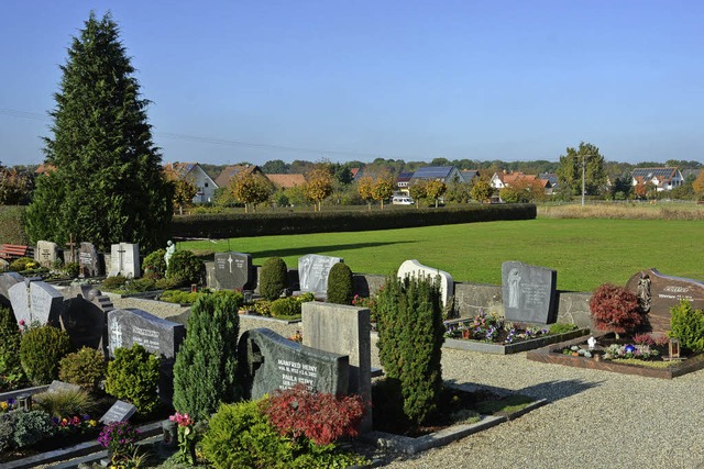 Die freie Flche am Friedhof in Reute soll naturnah umgestaltet werden.   | Foto: Benedikt Sommer