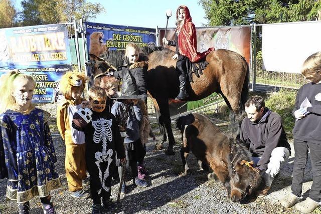 Vampire, Skelette und das kleinste Pony der Welt