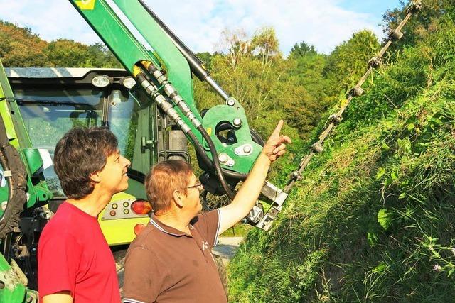 Fr die Pflege der Rebbschungen werden wieder Mhmaschinen eingesetzt