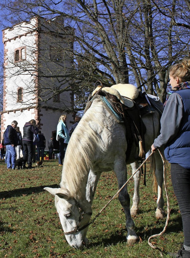 Zum Hohen Flum zieht es traditionell d...Reiter, aber auch Wanderer unterwegs.   | Foto: Ralph Lacher