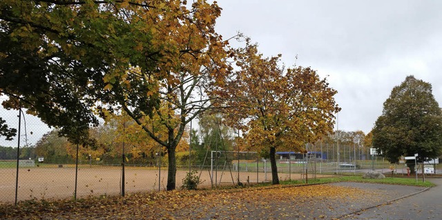 Die bestehende Sportsttte am Ortsrand...park Umkirch&#8220; erweitert werden.   | Foto: J. Steckmeister