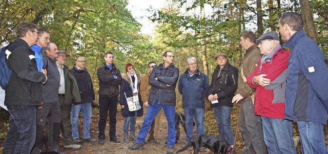 Gemeinderte und Forstvertreter begutachten den  Zustand des Waldes.  | Foto: Haberer