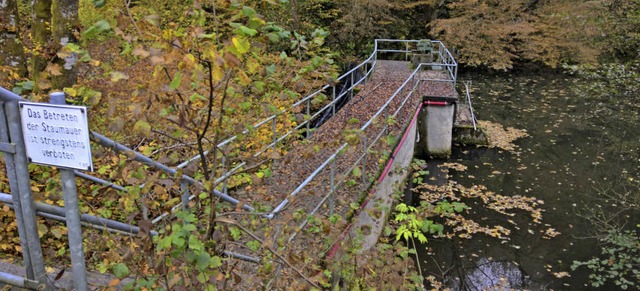 Malsburg-Marzell mchte prfen, ob ein...des Kraftwerksees unterhalb von Wies.   | Foto: Rolf-Dieter Kanmacher