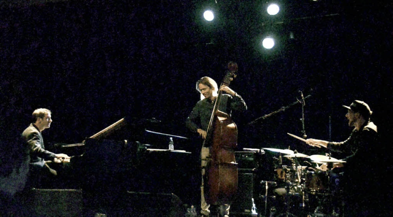 Bass, Piano und Drums verschmelzen zu einem Klang.  | Foto: Manuel Fritsch