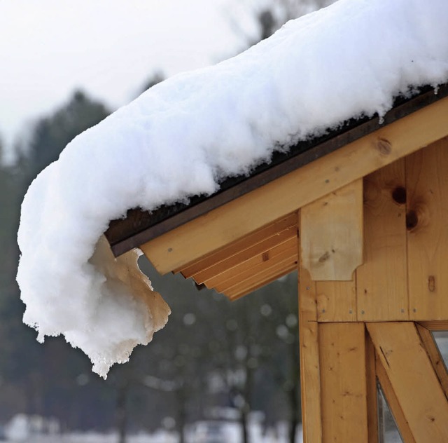 Das Dach muss im Winter viel ertragen.   | Foto: Tobias Hase (dpa)