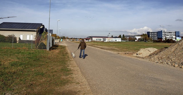 Ans Ende dieser Erschlieungsstrae siedelt sich die  Triaz Group an.  | Foto: Michael haberer