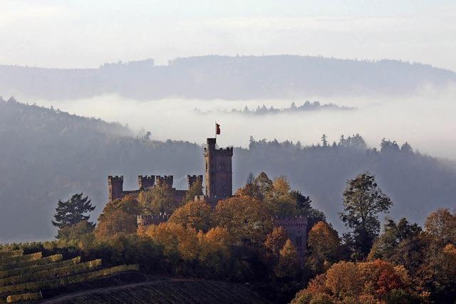 Fels in der Nebel-Brandung